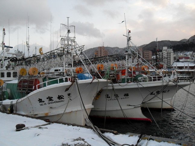 squid fishing boats, Japan