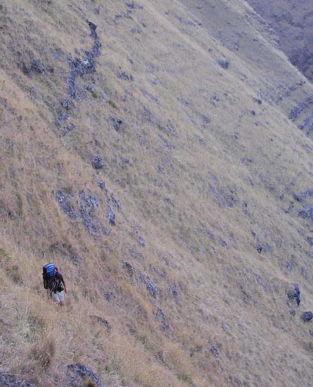 descending from the petrel colony, Isla Alejandro Selkirk, Chile (photo copyright: Matthew McKown)
